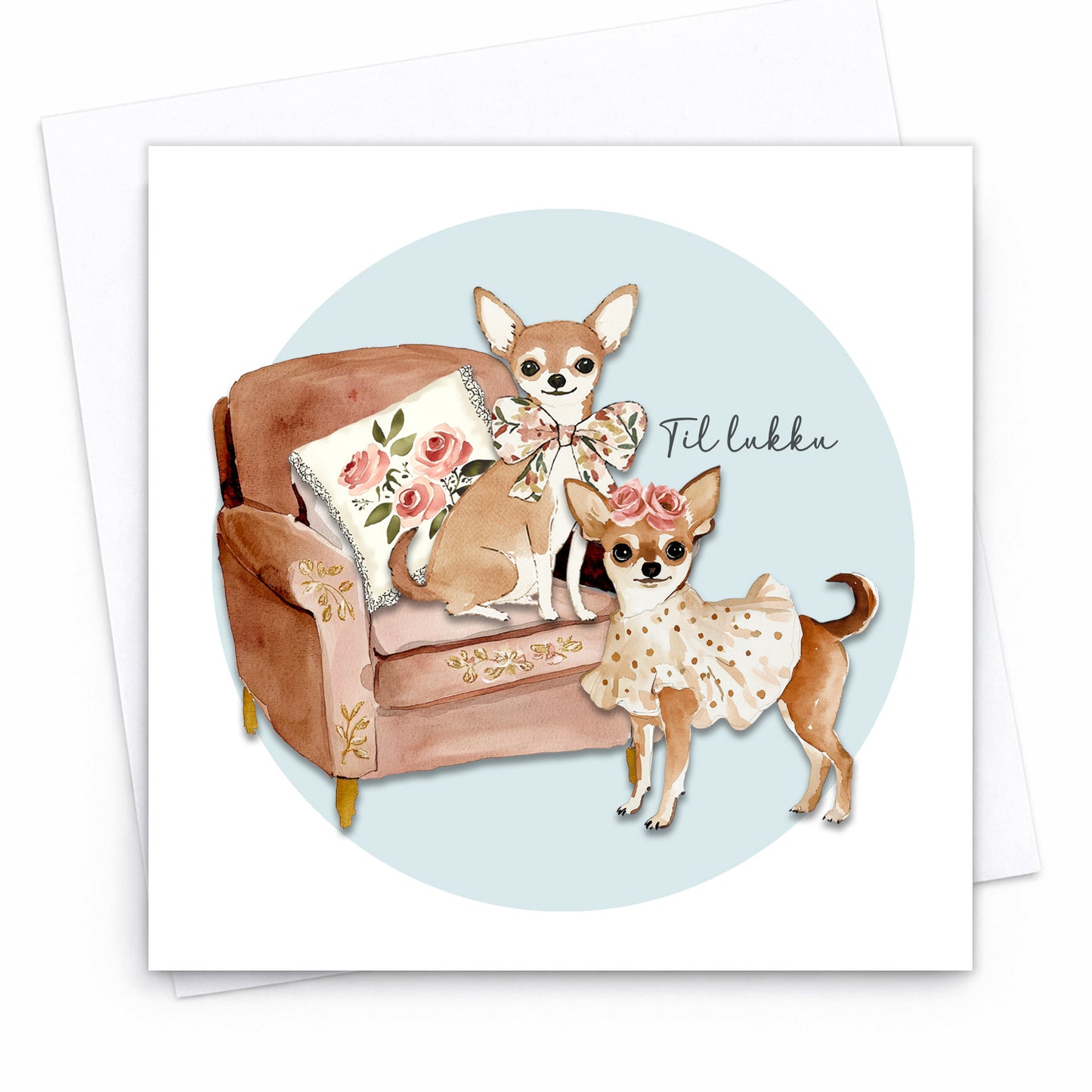 Kort - Chihuahuas
