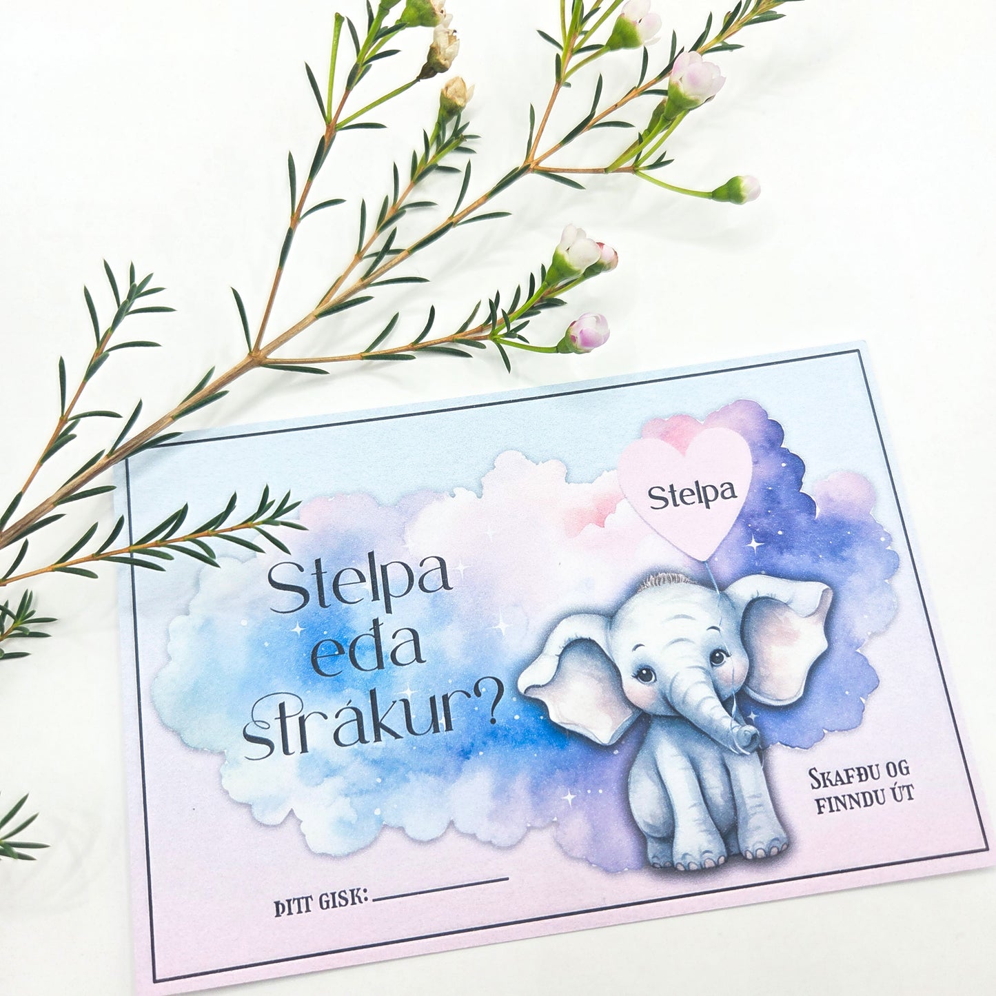 Stelpa eða strákur? Skafmiði