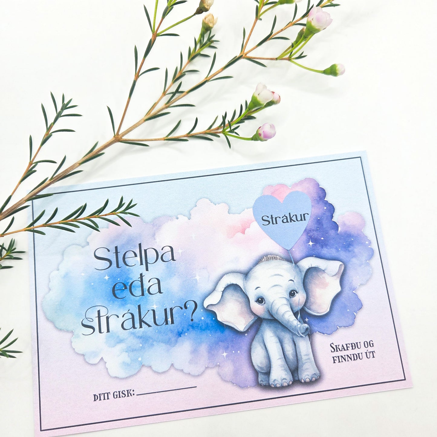 Stelpa eða strákur? Skafmiði