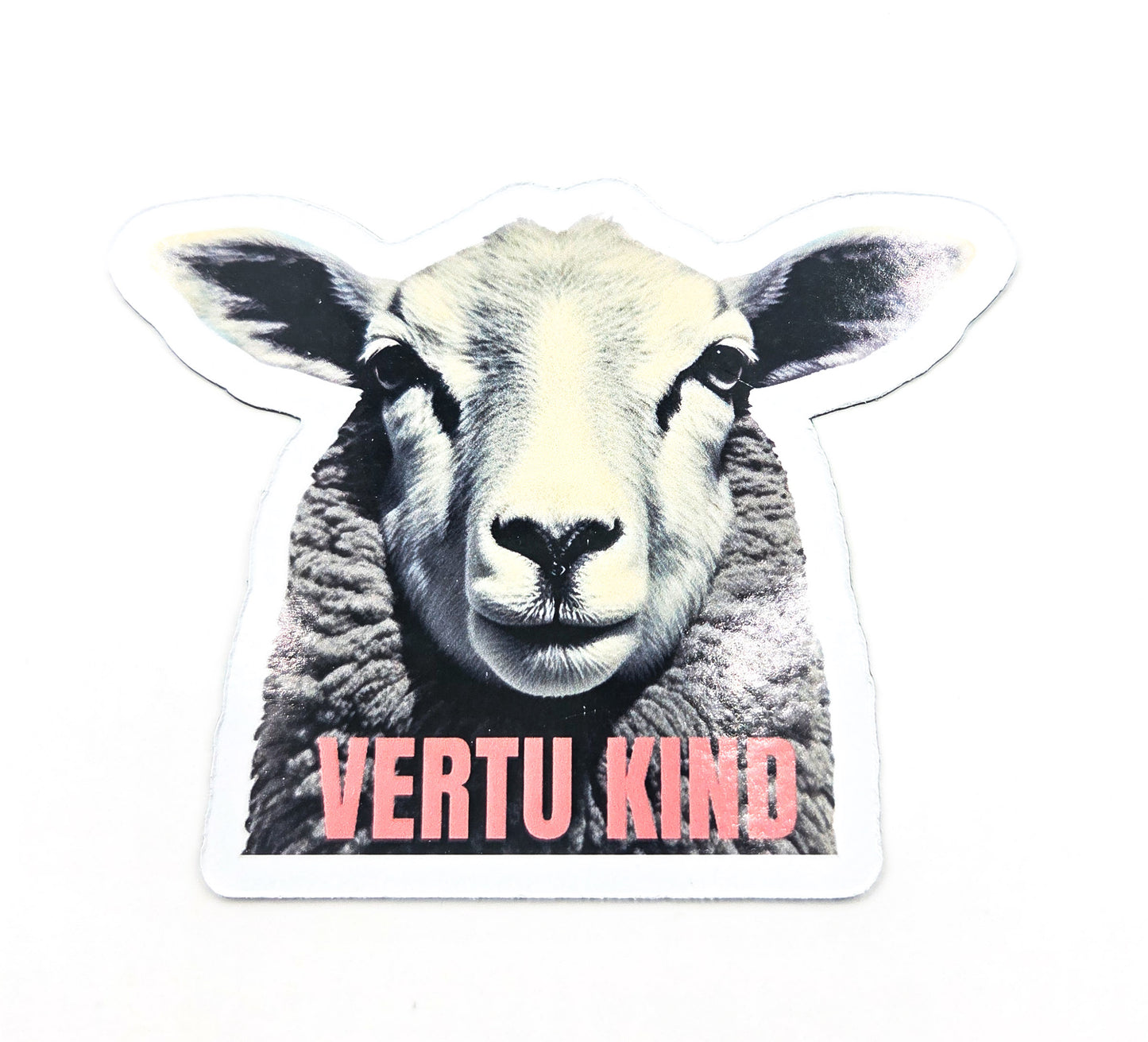 Seglar - nokkrar týpur