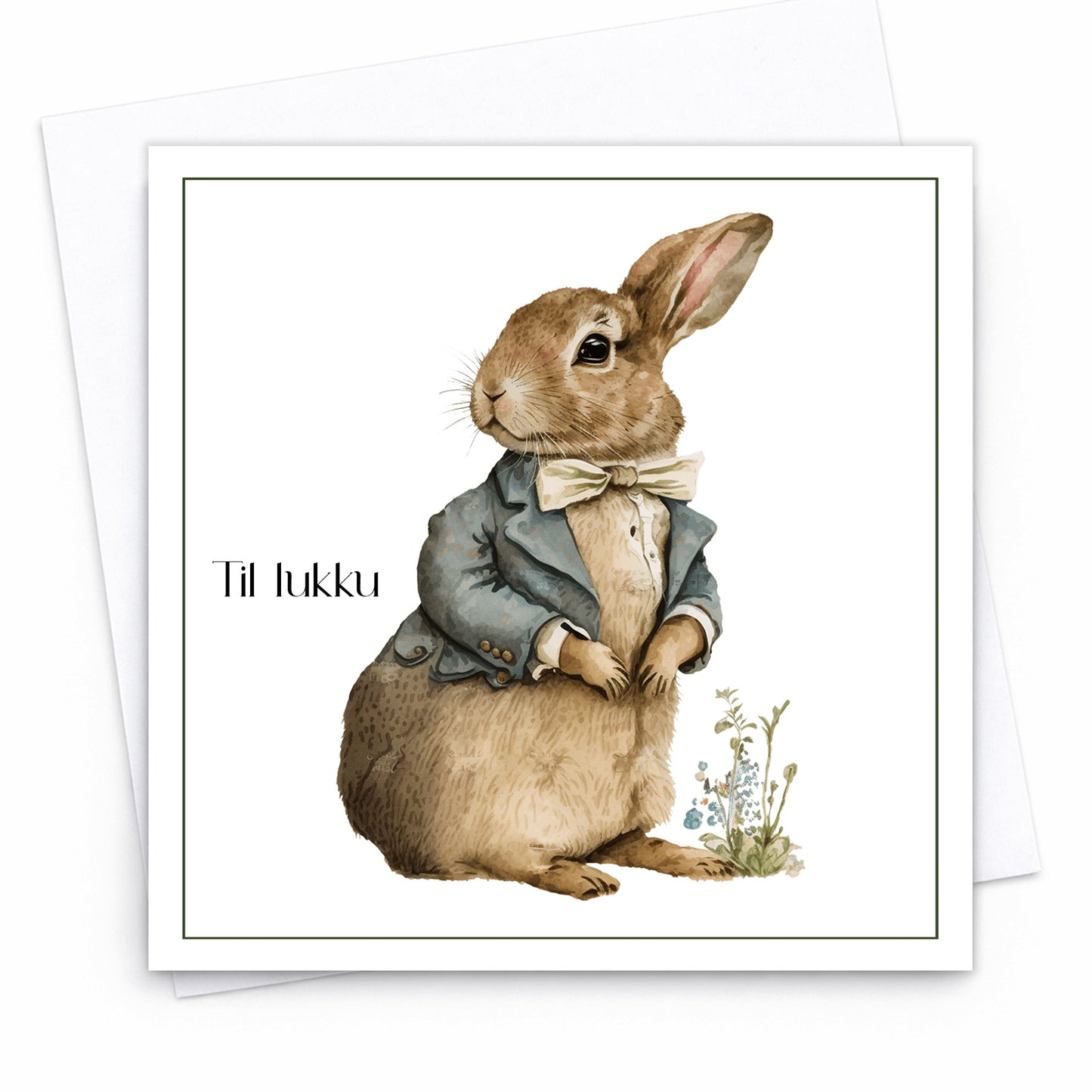 Kort - Kanínustrákur 1