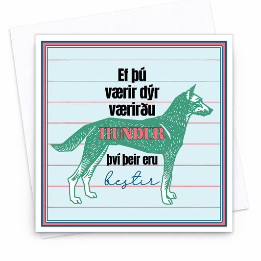 Kort - Hundar eru bestir