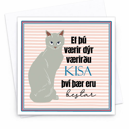 Kort - Kisur eru bestar